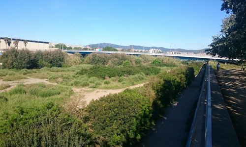 Parc Fluvial del Besós