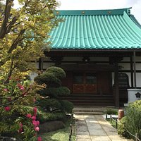 東光院の美しい本堂の屋根は新橋色です。