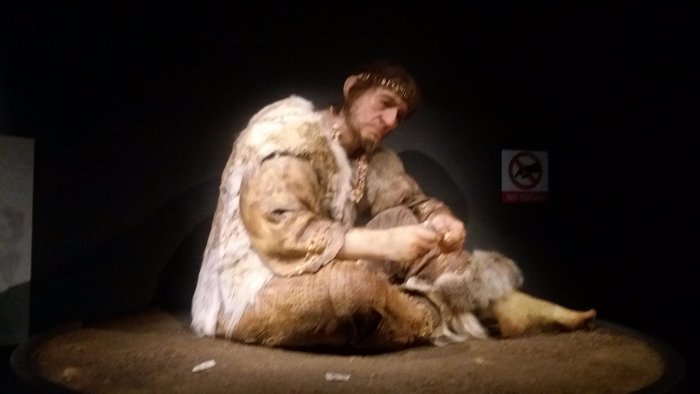 Imagen 7 de Museo de Prehistoria y Arqueologia de Cantabria