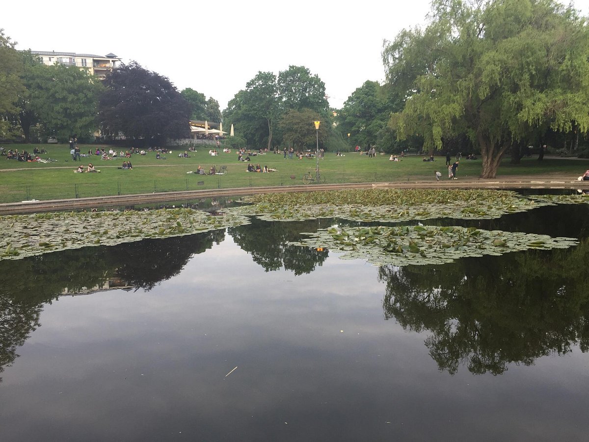 Volkspark am Weinbergsweg, Берлин: лучшие советы перед посещением -  Tripadvisor