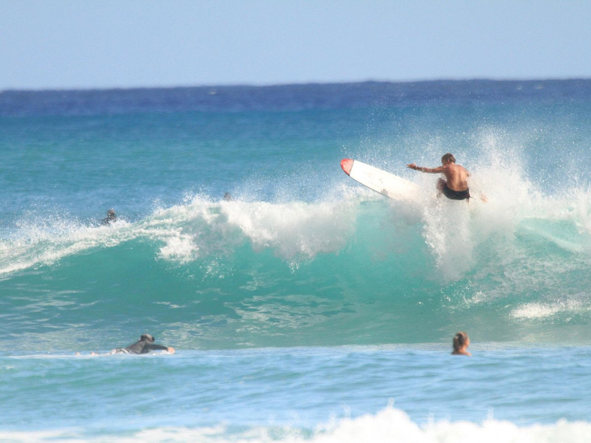 BIG WAVE DAVE SURF CO (Honolulu) 2023 What to Know BEFORE You Go