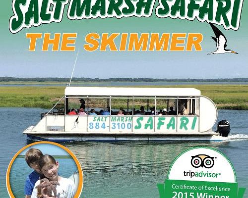 skimmer tours salt marsh safari