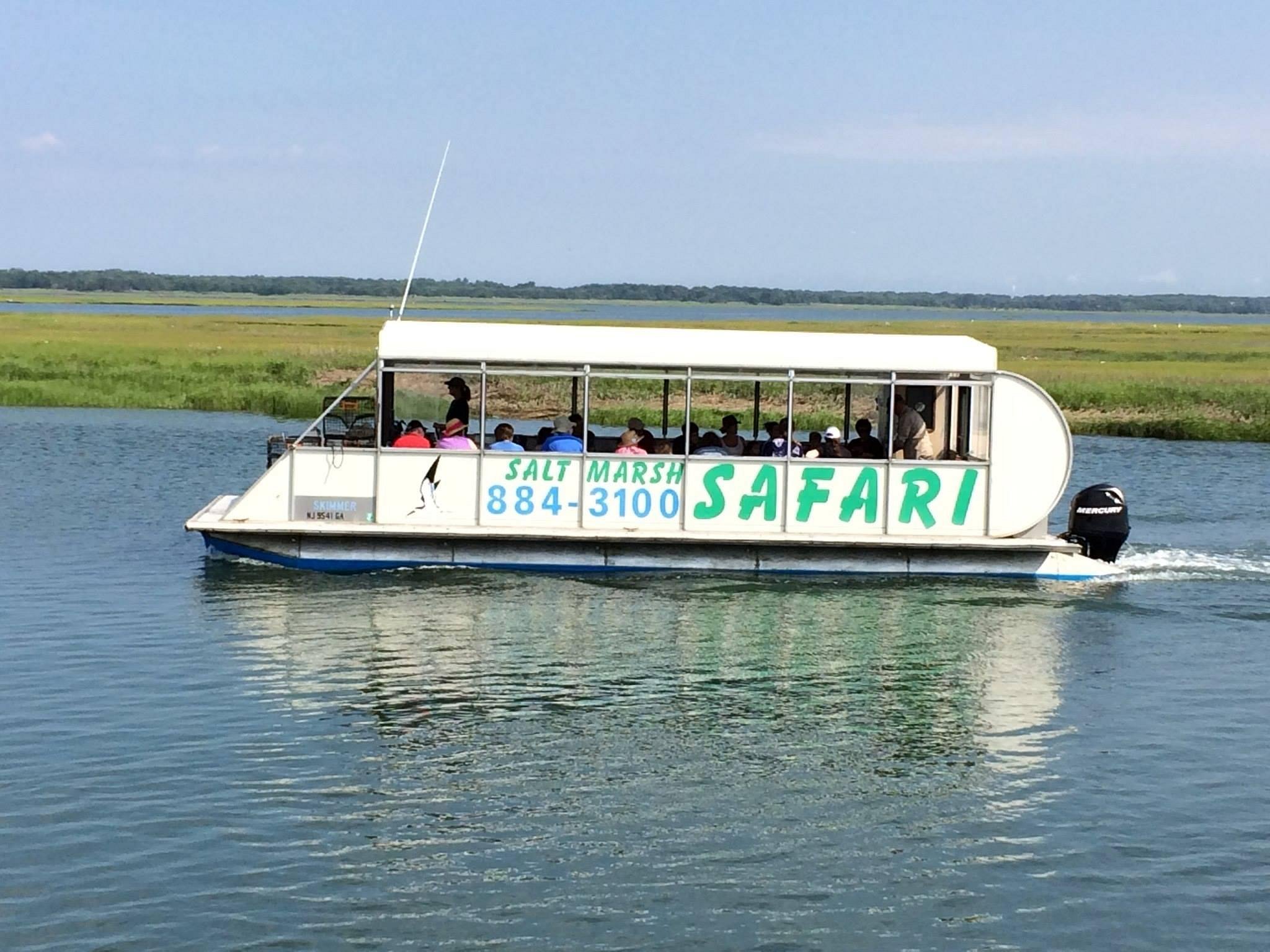 skimmer tours salt marsh safari