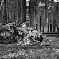 a local woman taking a nap