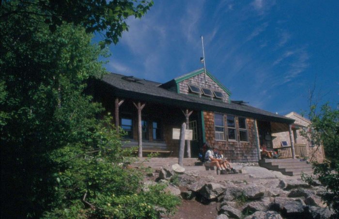 Inside New Zealand's adults-only tree hut spa