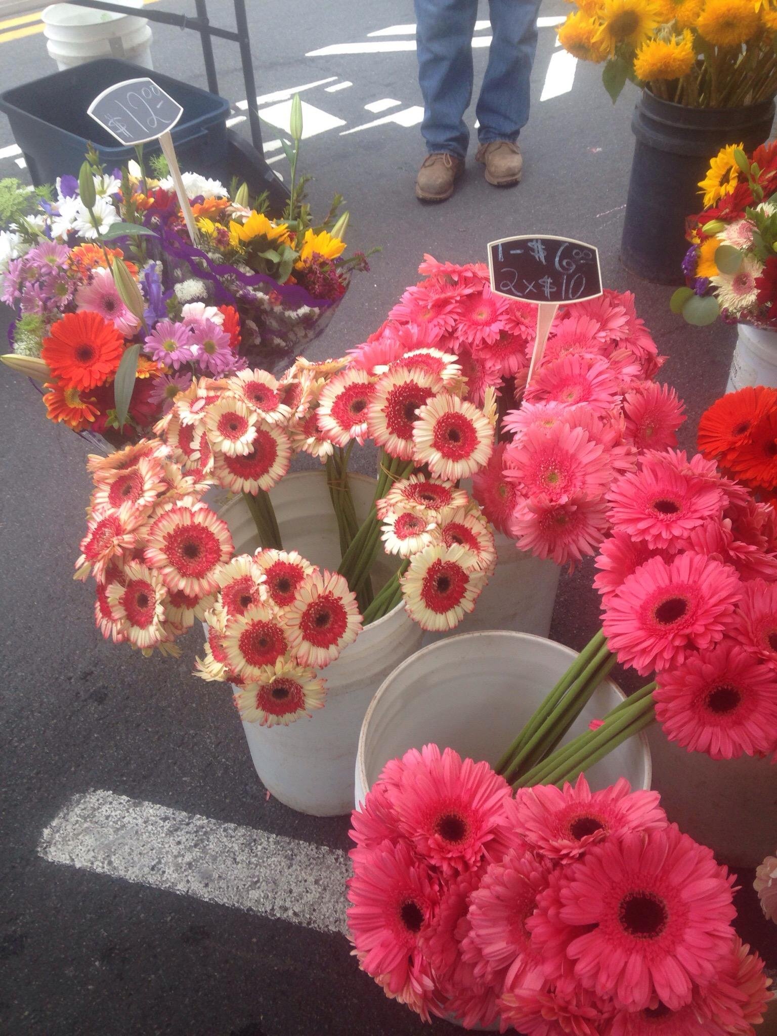 CARLSBAD VILLAGE FARMERS MARKET Tutto Quello Che C Da Sapere   Photo0jpg 