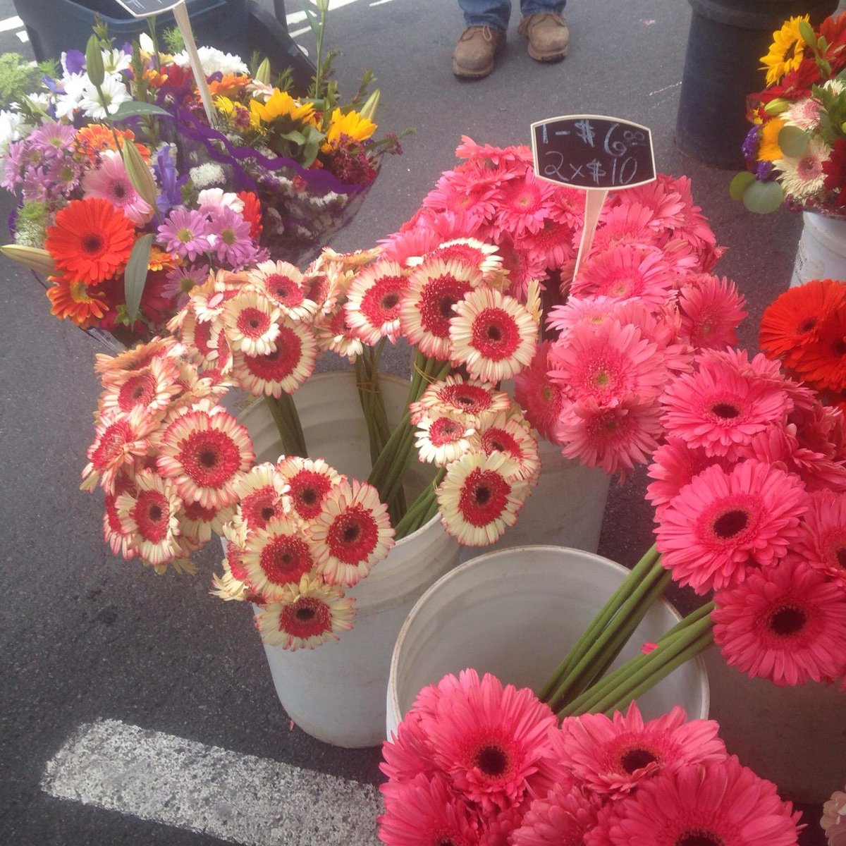 Discover The Authentic Flavors And Treasures Of Waikoloa Village Farmers Market