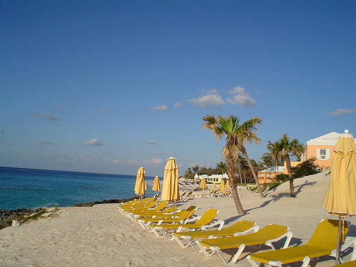 Coco Reef Resort Bermuda - UPDATED 2024 Prices, Reviews & Photos (Paget  Parish) - Tripadvisor
