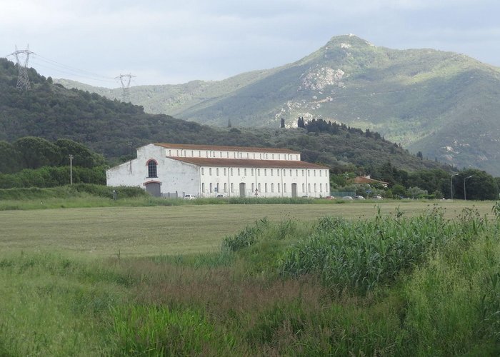 ANPIL "Valle delle Fonti": on the way back to Asciano, an ancient plant for the tobacco processi