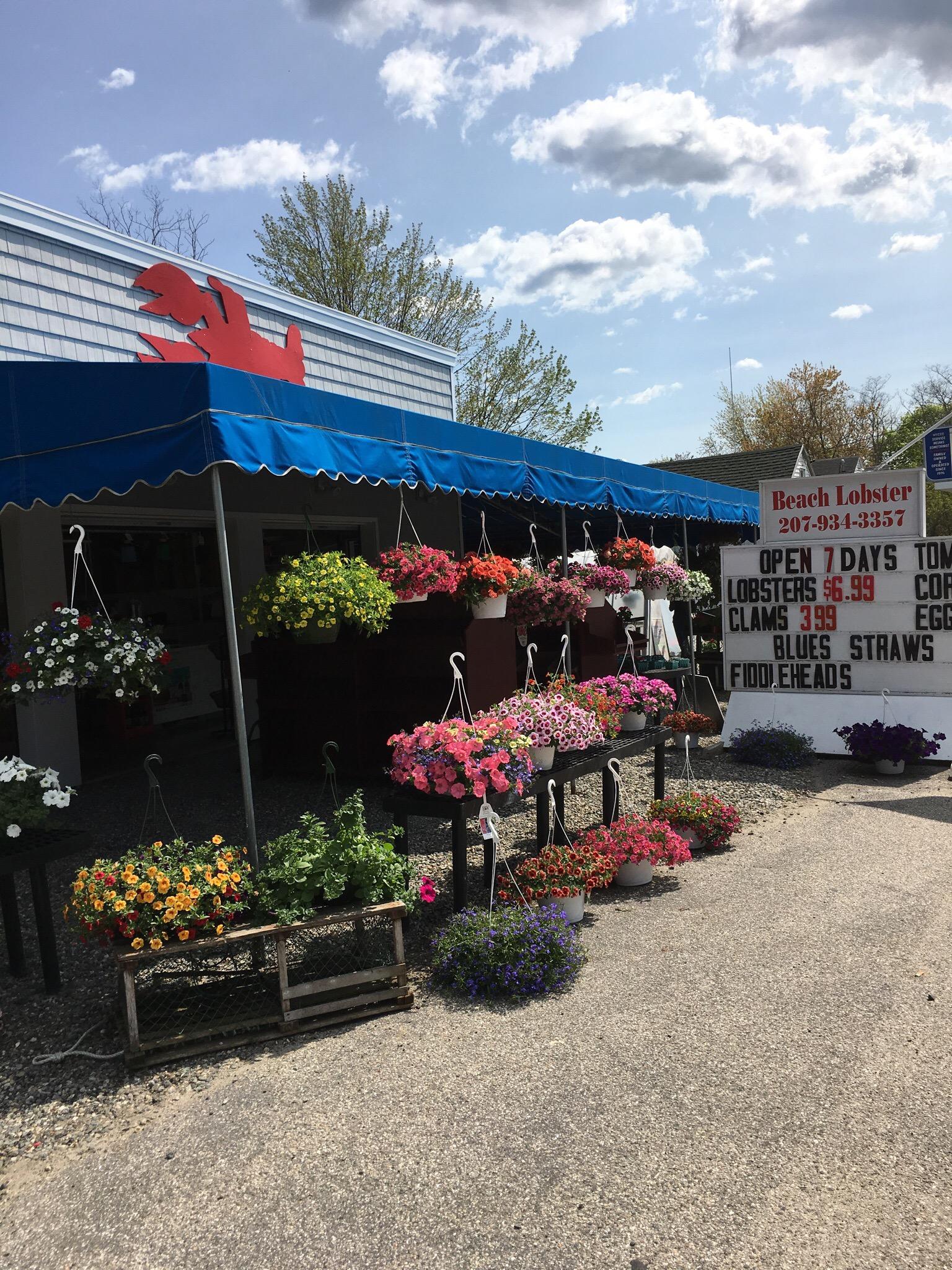 Discovering the Best Stores at Old Orchard Beach