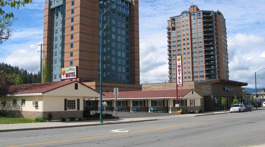 Flamingo Motel 2016