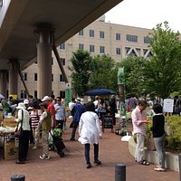 春の県庁朝市の風景
