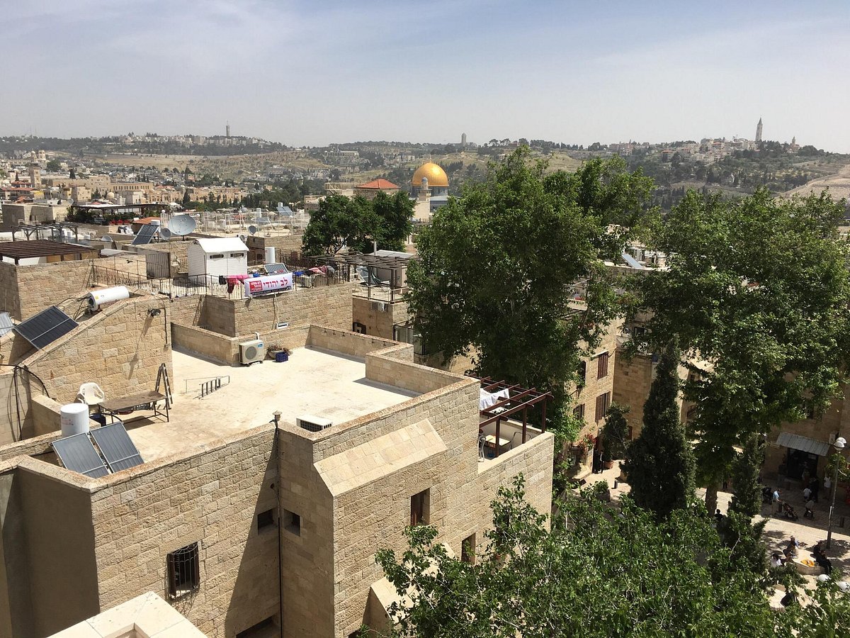 holy land vip tours reviews