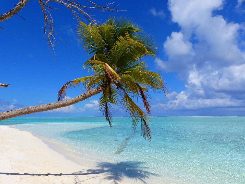 THE 10 BEST Maldives Beaches (2025) Tripadvisor