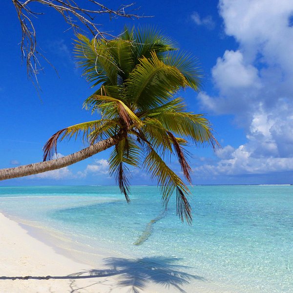 Maldives 2023: Best Places to Visit - Tripadvisor