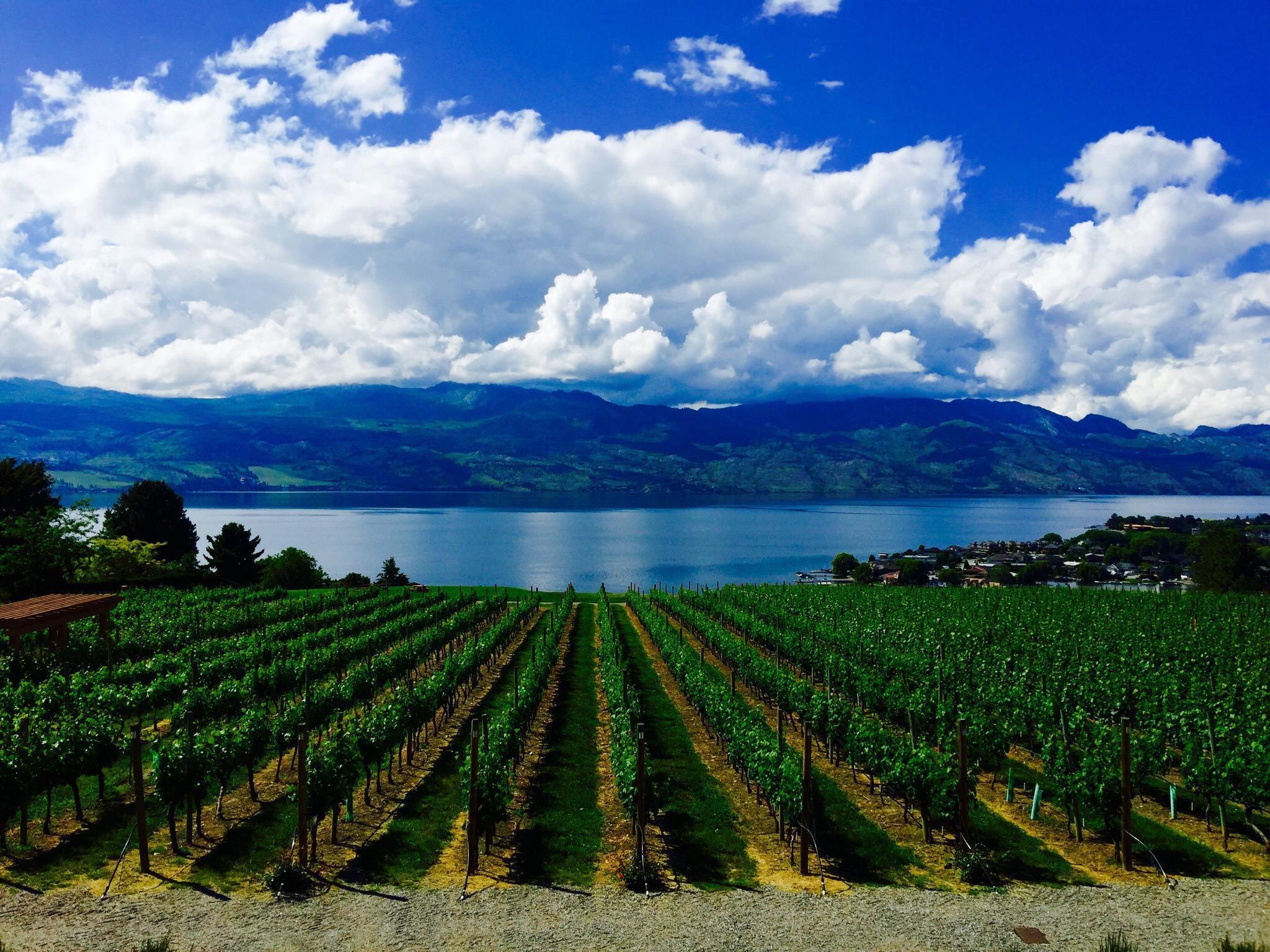 Okanagan wineries discount