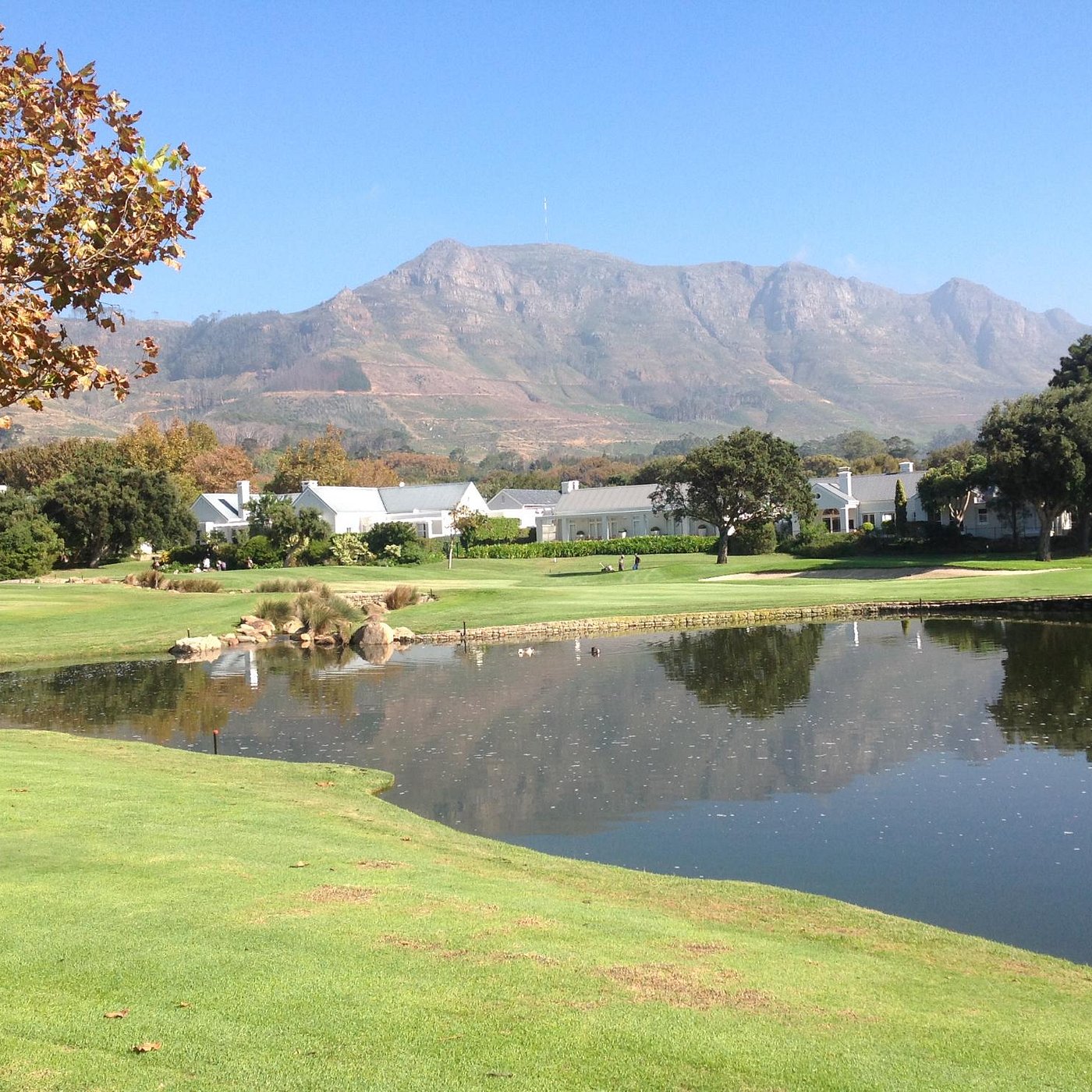 Constantia, South Africa: All You Must Know Before You Go (2024) -  Tripadvisor