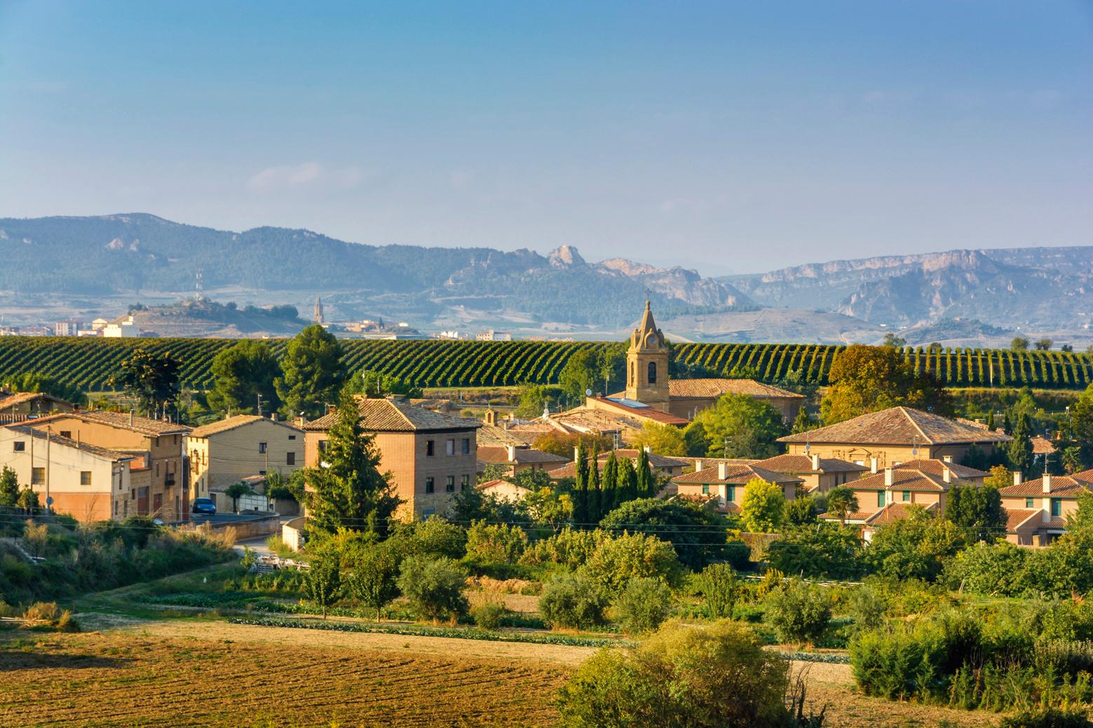 THE 10 BEST Spain Wineries & Vineyards (Updated 2023)