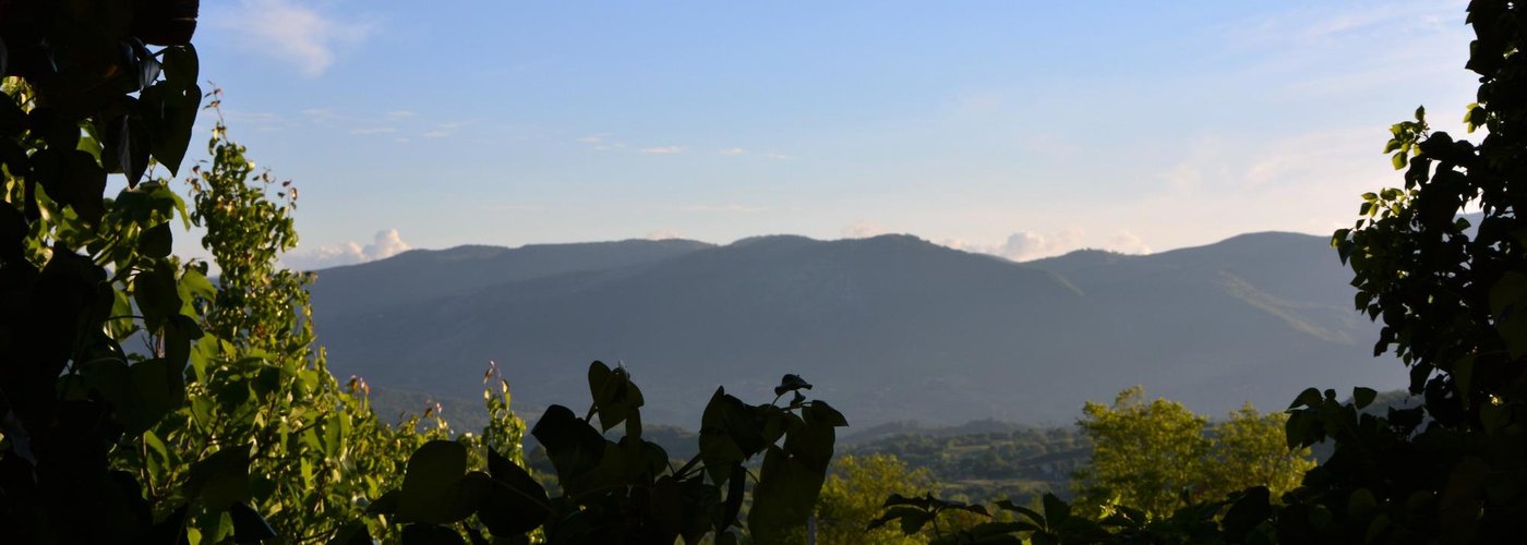 Panorama