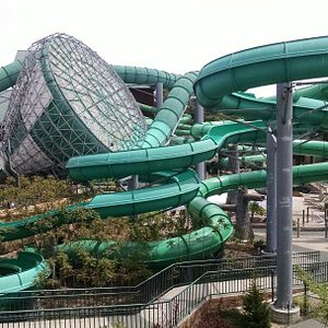Noah S Ark Water Park Wisconsin Dells 21 All You Need To Know Before You Go With Photos Tripadvisor Noah S Ark Water Park Wisconsin Dells 21 All You Need To Know Before You Go With Photos Tripadvisor