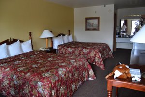 Room & Suite