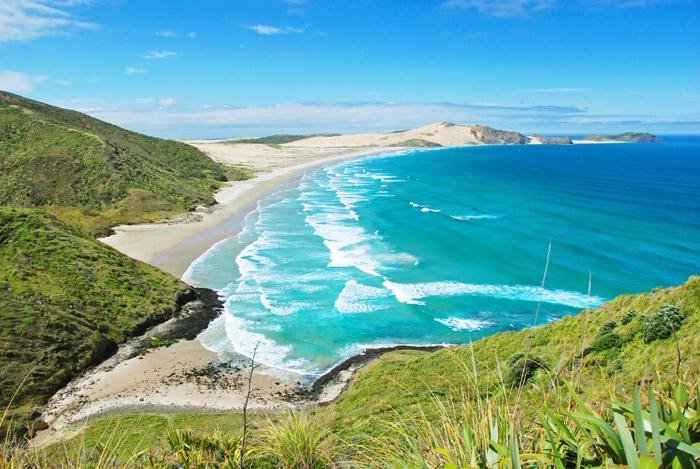 are dogs allowed at cape reinga