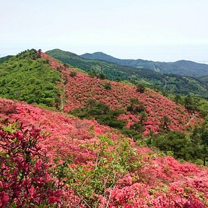 22年 赤坂公衆園 行く前に 見どころをチェック トリップアドバイザー