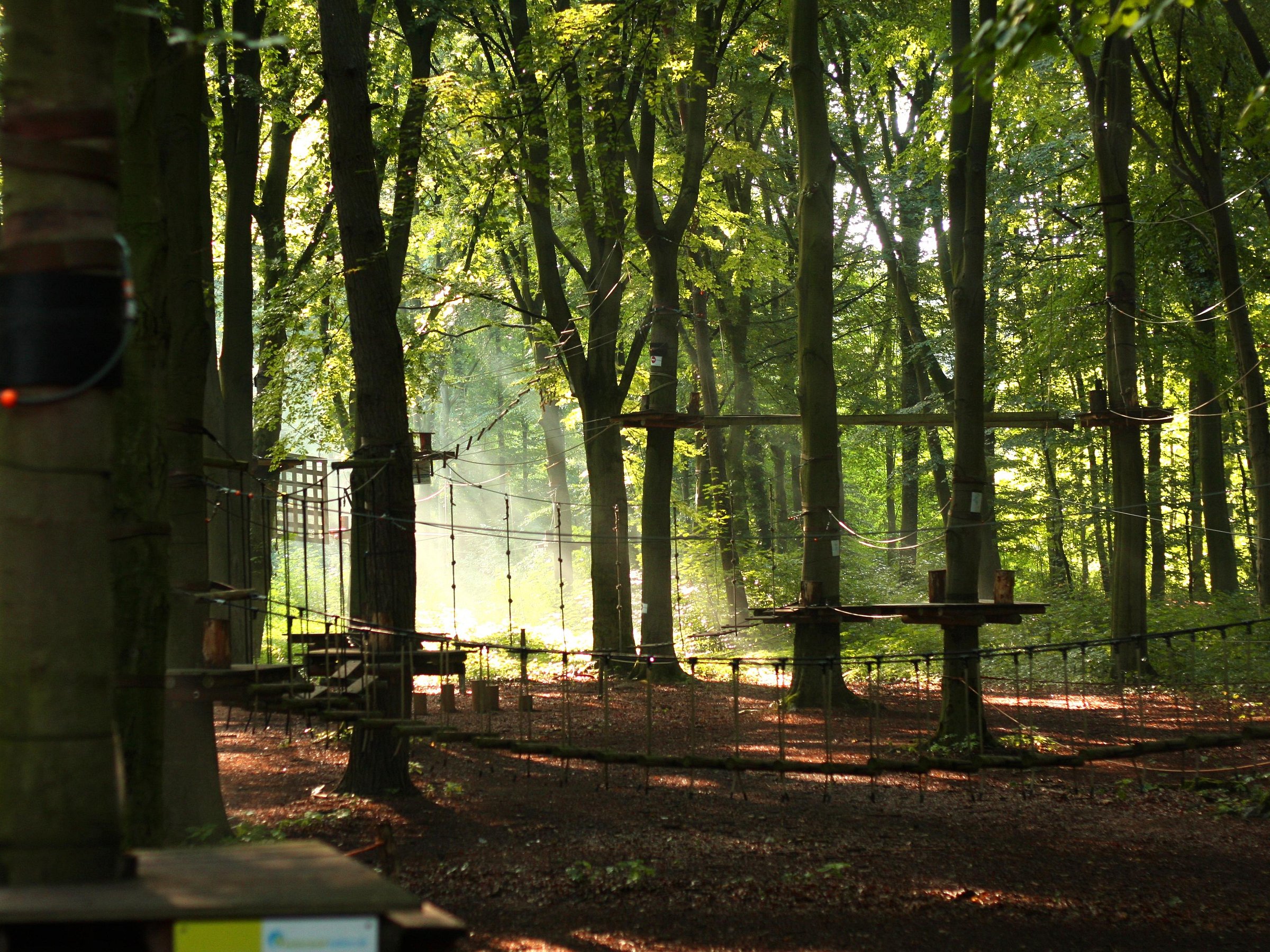 Kletterwald Haltern (Haltern am See) 2022 Lohnt es sich? (Mit fotos)