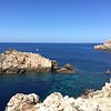 Things To Do in Ocimar Menorca, Restaurants in Ocimar Menorca