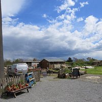 garden shop