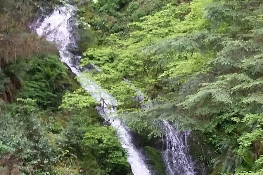 Bunch Creek Falls image