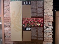 tulip museum istanbul 2021 all you need to know before you go with photos tripadvisor
