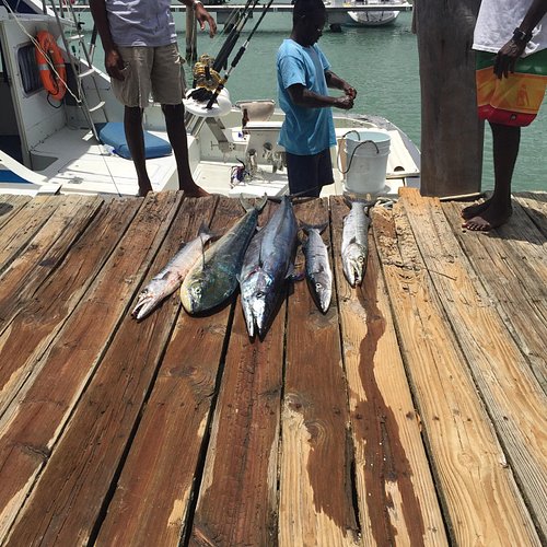 THE 10 BEST Antigua and Barbuda Fishing Charters & Tours (2024)