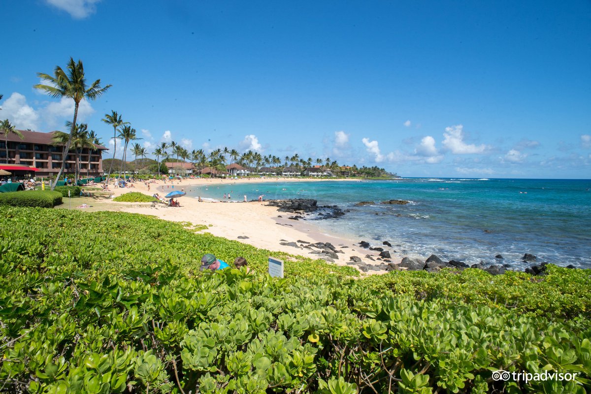 Sheraton Kauai Resort Pool Pictures & Reviews - Tripadvisor