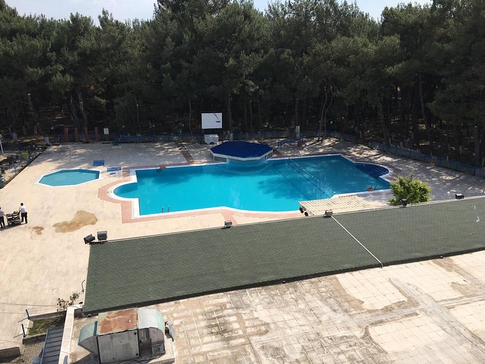 antalya muhabbet kuşu antoloji üye ol