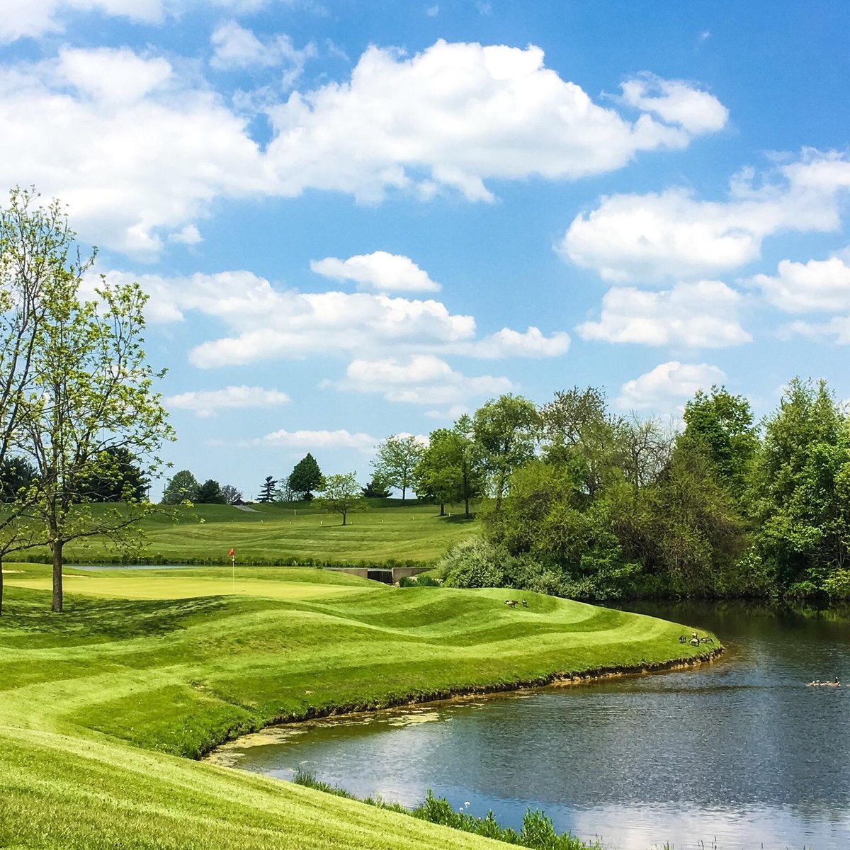 2022年 The Hawks Nest Golf Course 行く前に！見どころをチェック トリップアドバイザー