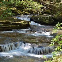 Grundy Forest Natural Area (Tracy City) - All You Need to Know BEFORE ...