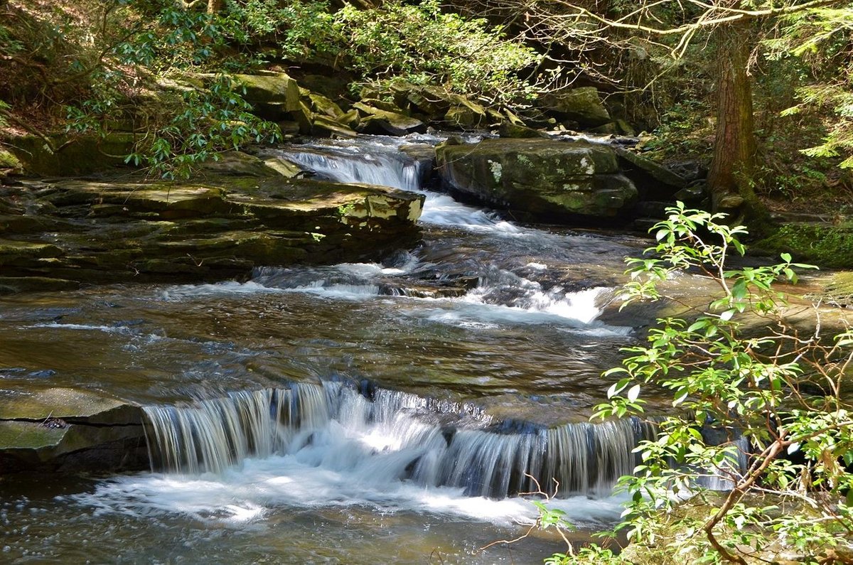 Escape To Grundy Forest: Where Tennessee’s Wild Side Thrives