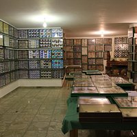Η αίθουσα του Εντομολογικού Μουσείου Βόλου