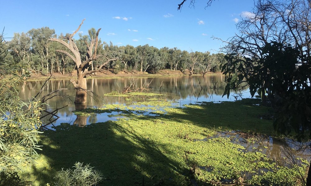 2021: Best of Cunnamulla, Australia Tourism - Tripadvisor