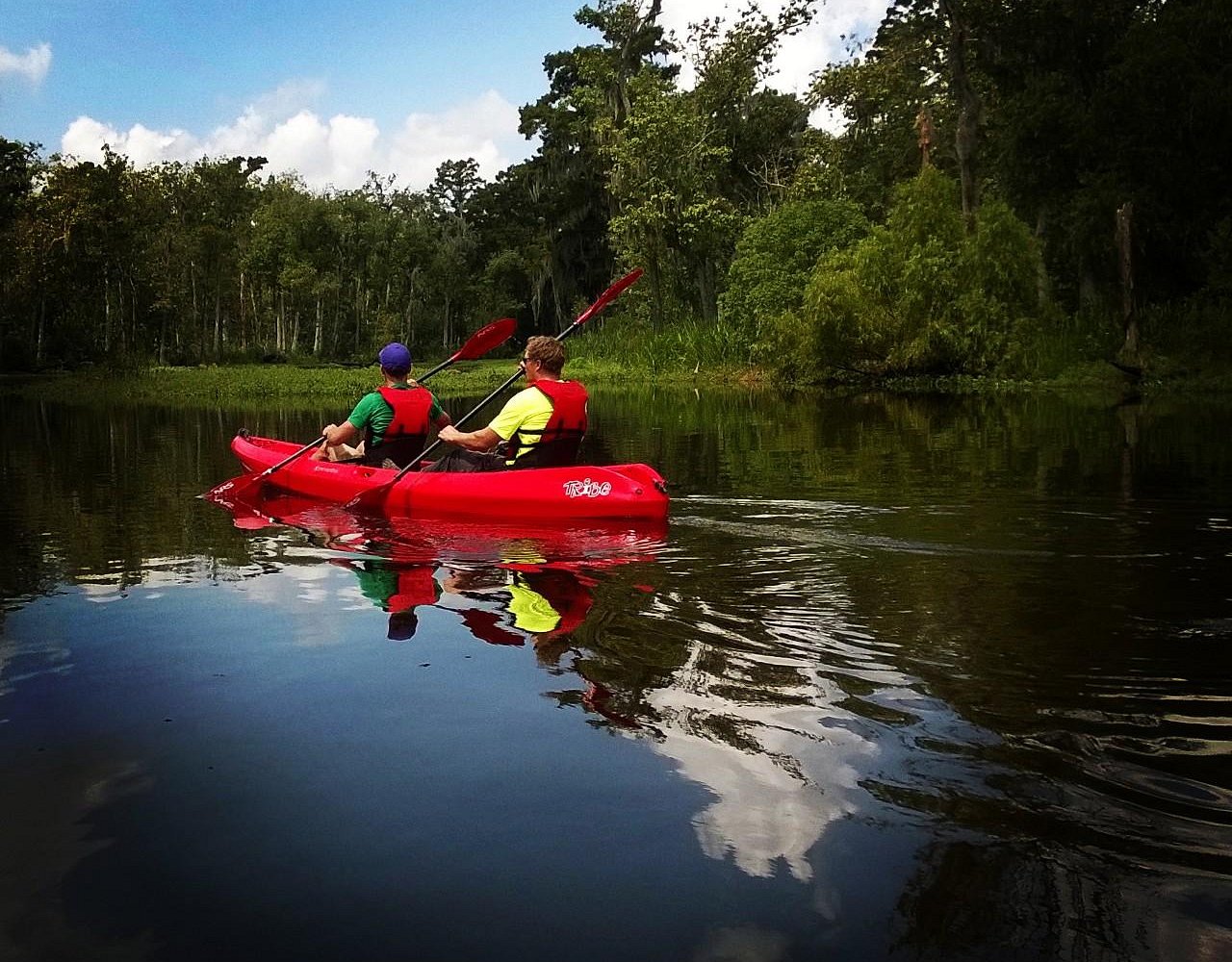 swamp tours mandeville la