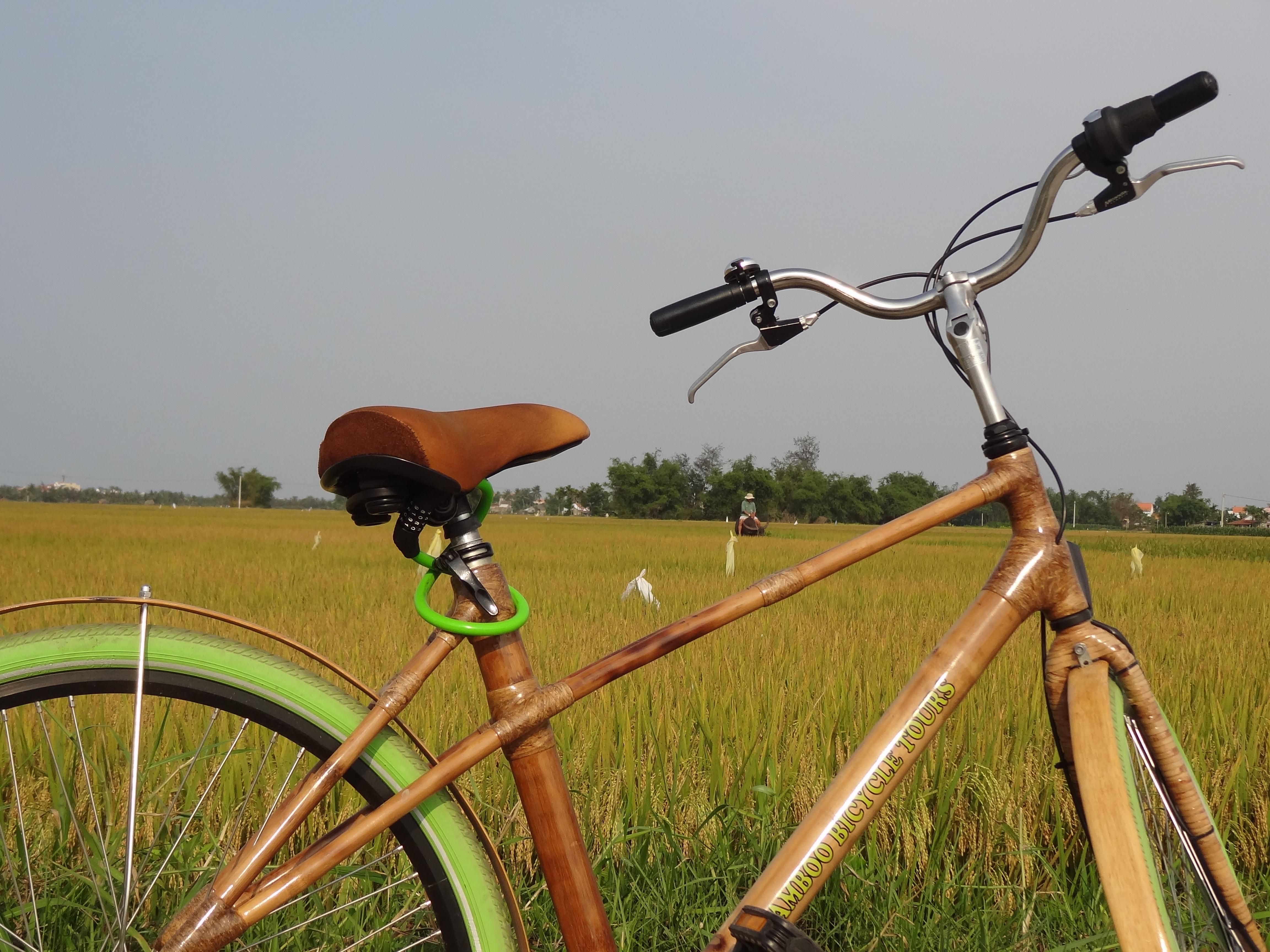 Viet deals bamboo bike