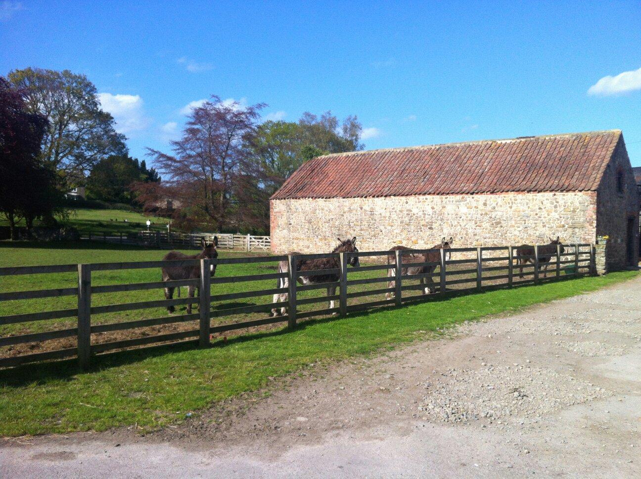 HOLME GRANGE FARM - Updated 2020 B&B Reviews & Photos (Ripon) - Tripadvisor