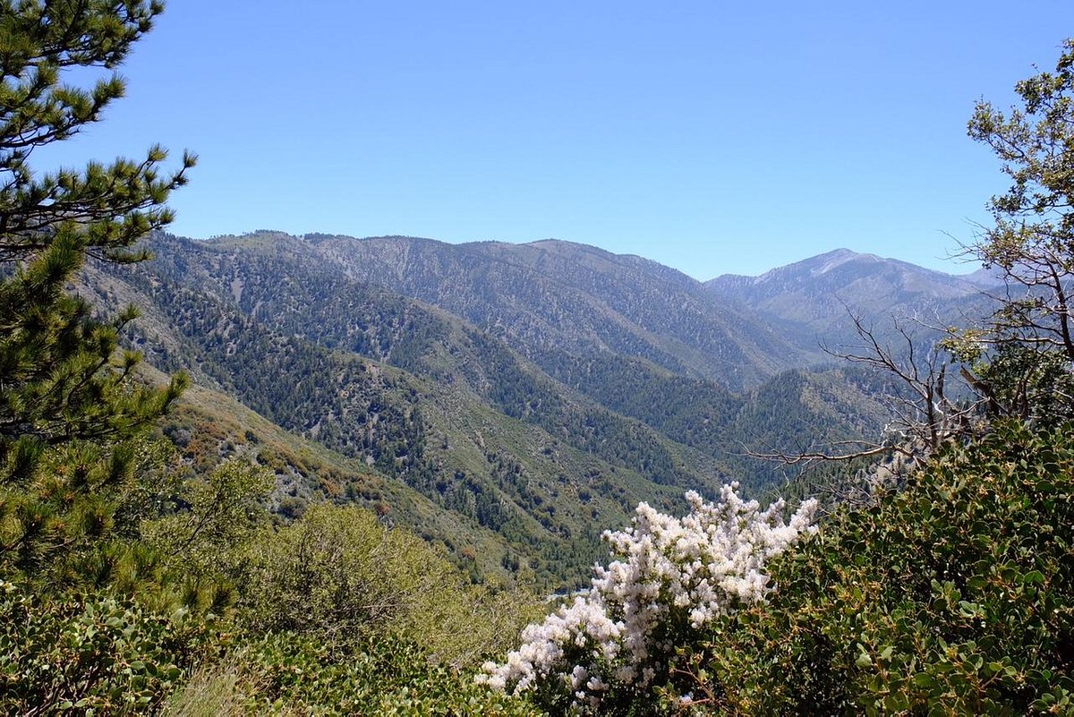 Angeles Crest Highway là một con đường hoang sơ và hiệu quả để thoát khỏi nhịp sống đô thị ồn ào. Hãy thưởng thức hình ảnh của Ánh Đèn Angeles huyền thoại, chạy dọc theo những con đường gấp khúc giữa các ngọn núi đá vôi. Bạn sẽ cảm thấy như đang lạc vào một thế giới mới, đầy màu sắc và cảm xúc.