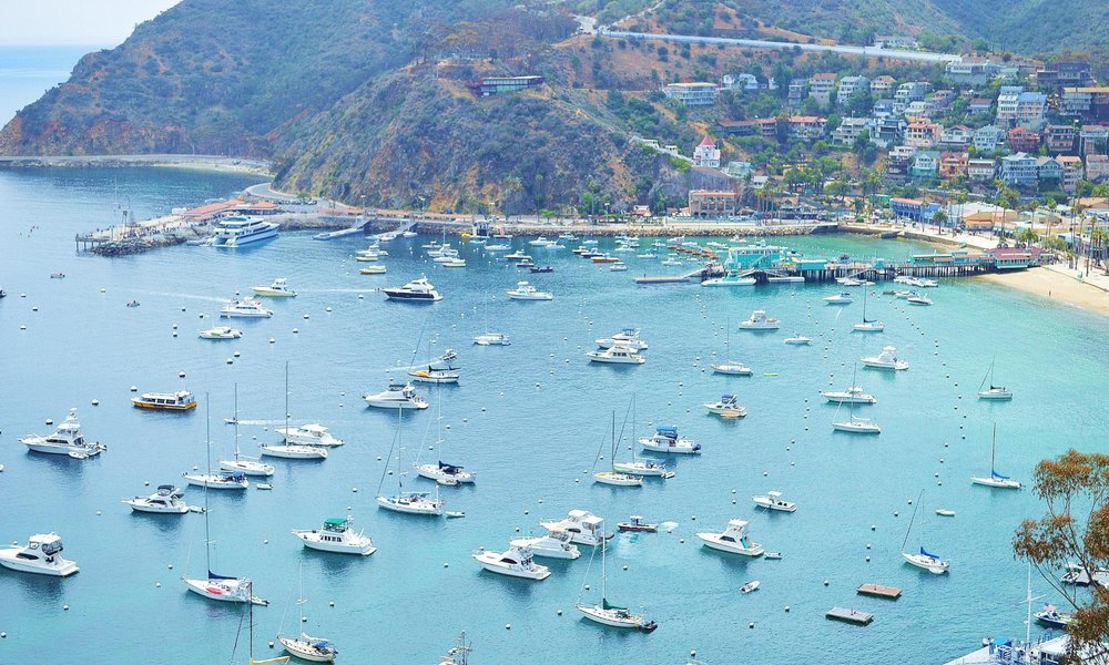 2021: Best of Catalina Island Tourism - Tripadvisor