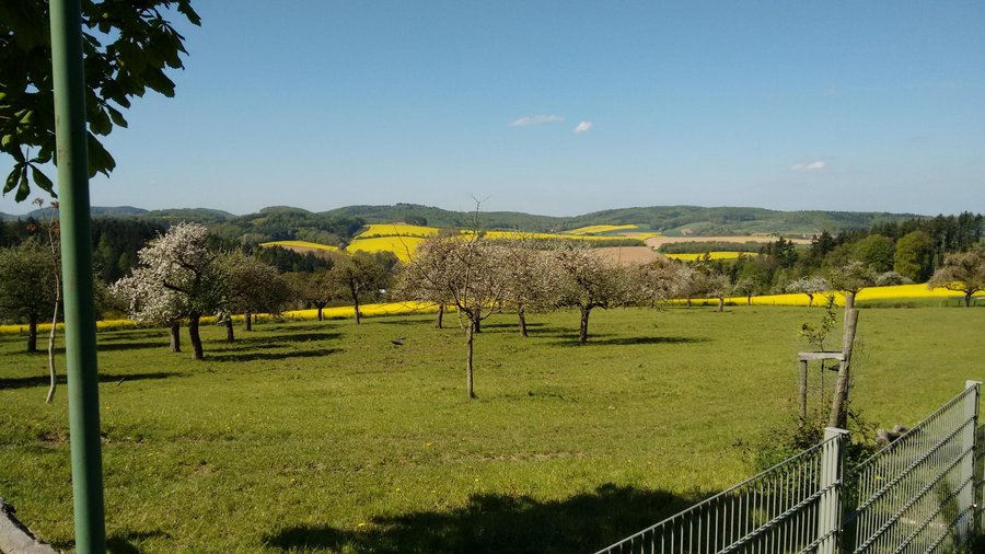 Ausblick vom Biergarten