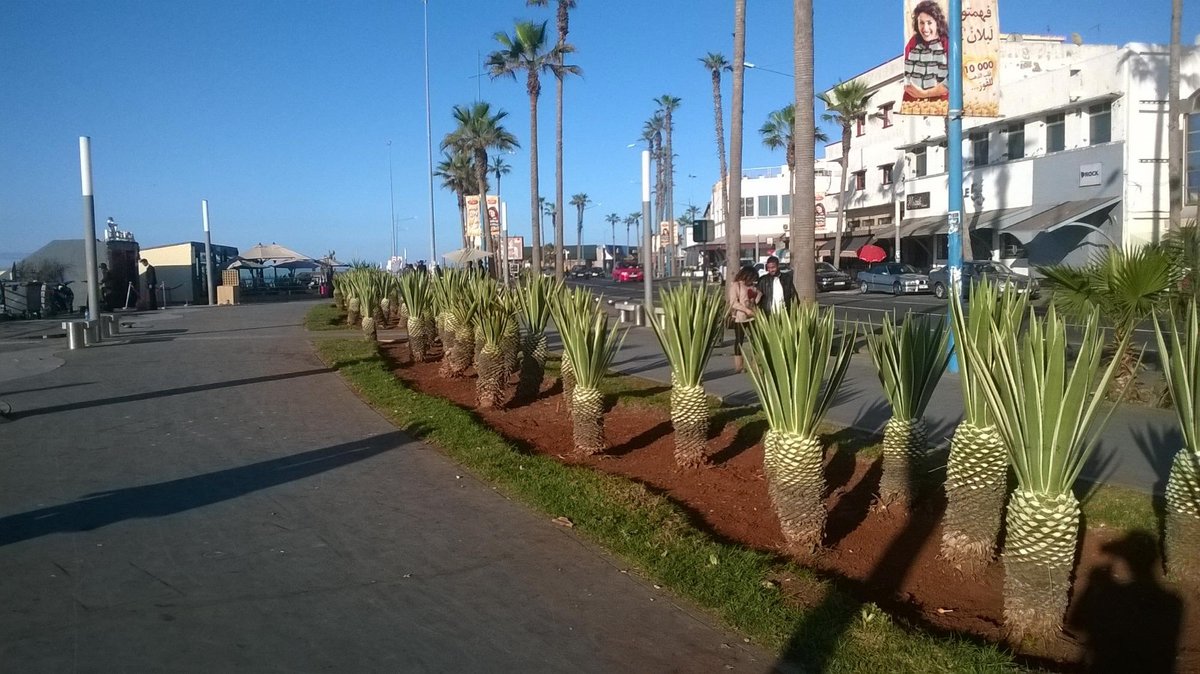 The Corniche, Касабланка: лучшие советы перед посещением - Tripadvisor