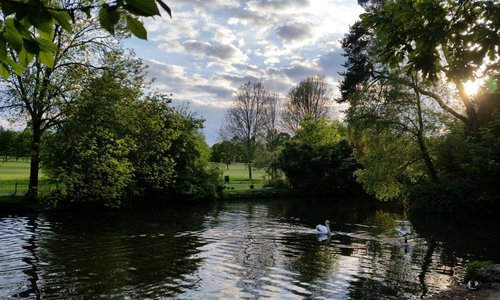 Manor Park in Aldershot