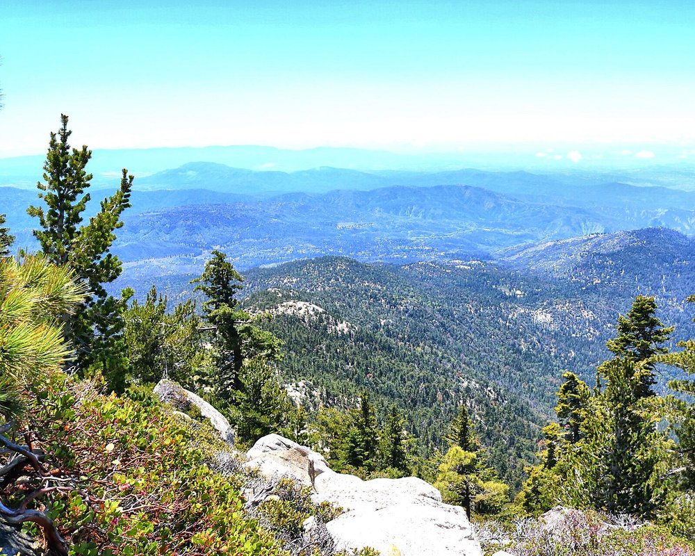 THE 15 BEST Things to Do in Idyllwild (2024) - Must-See Attractions