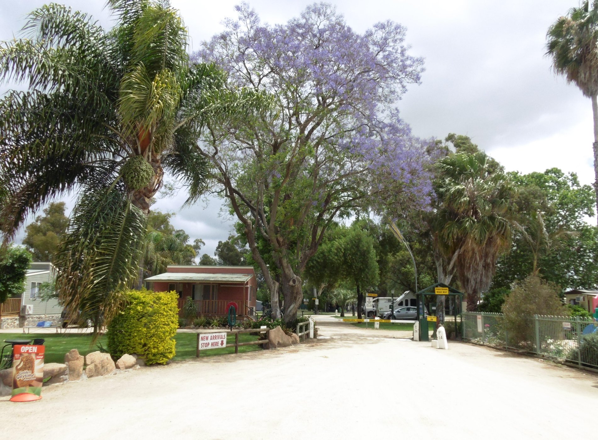 Forbes Holiday Park by null